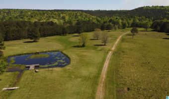 4820 COUNTY ROAD 22, Ashville, AL 35953