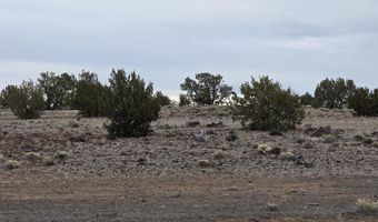 214 B Juniper Woods, Ash Fork, AZ 86320