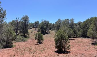 201 Cathedral Valley Rd, Ash Fork, AZ 86320