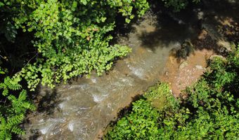 00 Tbd Long Shoal Br, Beattyville, KY 41311