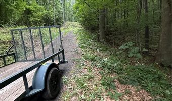 9999 Countryside Est, Barnardsville, NC 28709