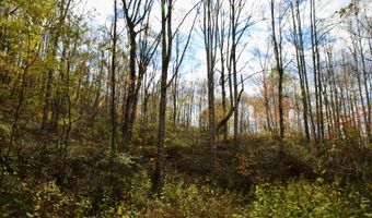 595 Rock Creek Ridge Rd, Bakersville, NC 28705