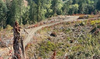 Van Horn 140 Rd, Alsea, OR 97324