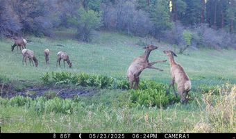 15098 CR 240, Bayfield, CO 81122