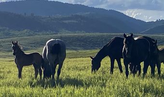 79 AUBURN FOREST Rd, Afton, WY 83110