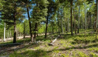 Lot 437 El Camino Real, Angel Fire, NM 87710