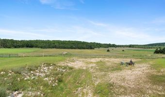 8445 HAINES, Alanson, MI 49706
