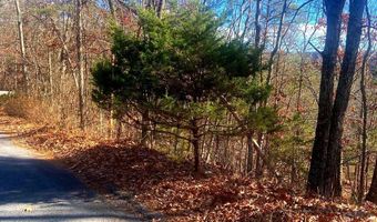 SPITZ Lane, Basye, VA 22810