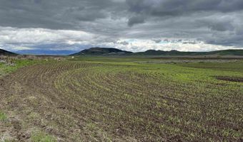 10 Mile Pass Rd, Bancroft, ID 83217