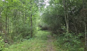1542 Wellman Dr, Brookhaven, MS 39601