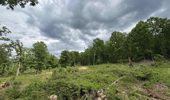 3968 HWY 167, Ash Flat, AR 72513