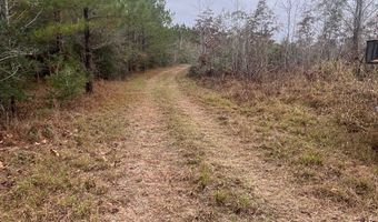 Wilburn Taylor Road, Buckatunna, MS 39322