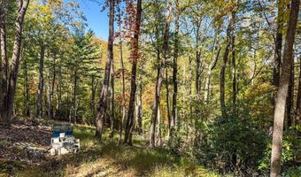 212 Judson Ridge Rd, Arden, NC 28704