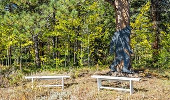 11982 Peak To Peak Dr, Allenspark, CO 80510