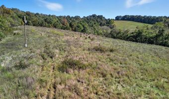 3850 Private Drive 3220, Ava, MO 65608