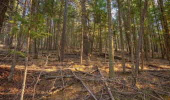 El Camino Real lot 35, Angel Fire, NM 87710