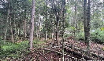 TBD Cable Lake, Amasa, MI 49903