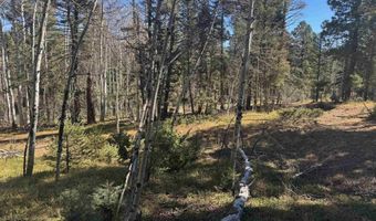 Taos Dr lot 173, Angel Fire, NM 87710