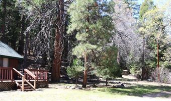 30 Seven Oaks Rd 30, Angelus Oaks, CA 92305