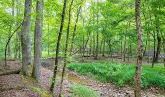 1 Camino Rd, Hot Springs Village, AR 71909