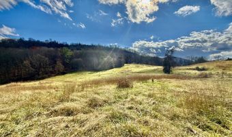 1520 Brittontown Rd, Afton, TN 37616