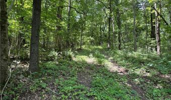 TBD Wilderness WY, Anderson, MO 64831