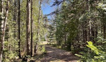 20 Chase Brook Dr, Alexander, ME 04694