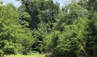 245 County Road 422, Abbeville, AL 36310