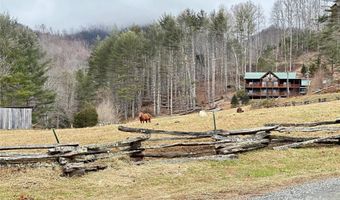 99999 White Pine Ln, Bakersville, NC 28705