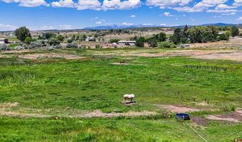 164 Sandia Cir, Bayfield, CO 81122