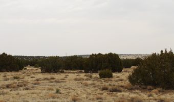 21 23 CR 8004, Concho, AZ 85924