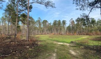 02 County Road 6650, Banks, AL 36005