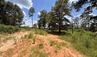 0 CR-215, Ariton, AL 36311