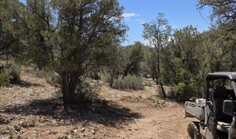 207 A Arizona Rd, Ash Fork, AZ 86320