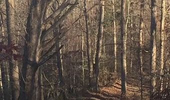 3129 Straight Frk, Alkol, WV 25501