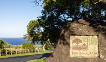 56-175 PUALANI Rd, Hawi, HI 96719