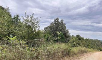 Martin Drive lot 7-12, Ash Flat, AR 72513