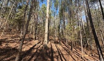 12 68 Acre 99 Rd, Blair, SC 29015