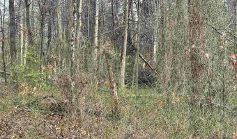 ELLY RD lot 50 81, Aroda, VA 22709