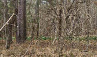 0 HWY 220 TRACT B, Lincolnton, GA 30817