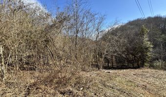 1135 Ned Clark Rd, Bean Station, TN 37708