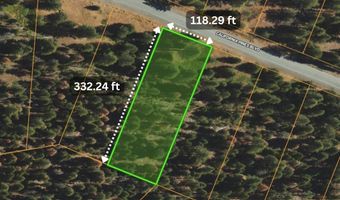 California Pines Boulevard, Alturas, CA 96101