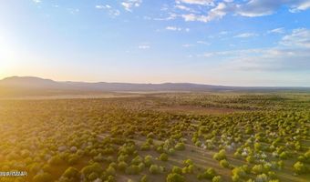 N SIX SHOOTER TRL 20 ACRES, Ash Fork, AZ 86320