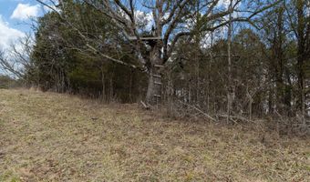 Smithtown Road, Afton, TN 37616