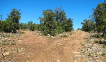 362 Big View Trl, Ash Fork, AZ 86320