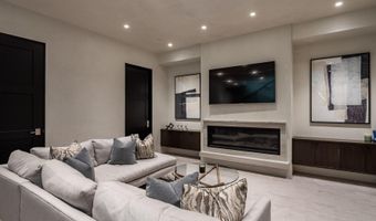 1154 E Cooper Ave B, Aspen, CO 81611