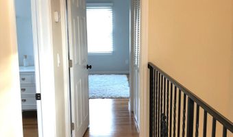 1003 C St, Belmar, NJ 07719