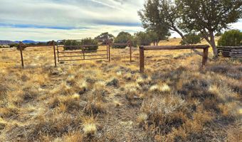 58 CR 5128/Antelope Ave, Concho, AZ 85924