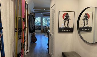 927 VINE St, Aspen, CO 81611
