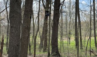 27350 H Dr N, Albion, MI 49224